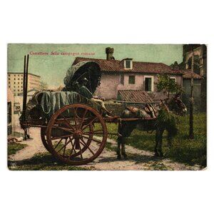 Carrettiere Della Campagna Romana Vintage Italian Postcard Colorful Horse Cart